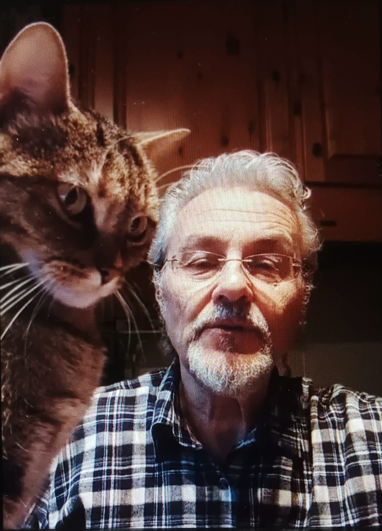 caccia meyer e micia - copia